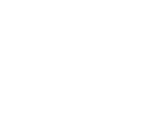 Global Security Fund
